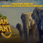 Panduan Ampuh untuk Menaklukkan Hutan Keberuntungan